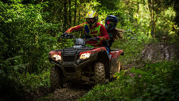 quad